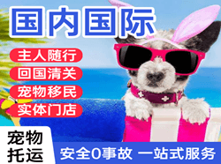 南通兴东空运公司国际宠物托运 【国